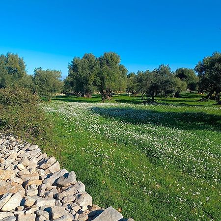 Che Vista!! Ostuni ,Sulle Bianche Mura Con Vista Mozzafiato Екстер'єр фото