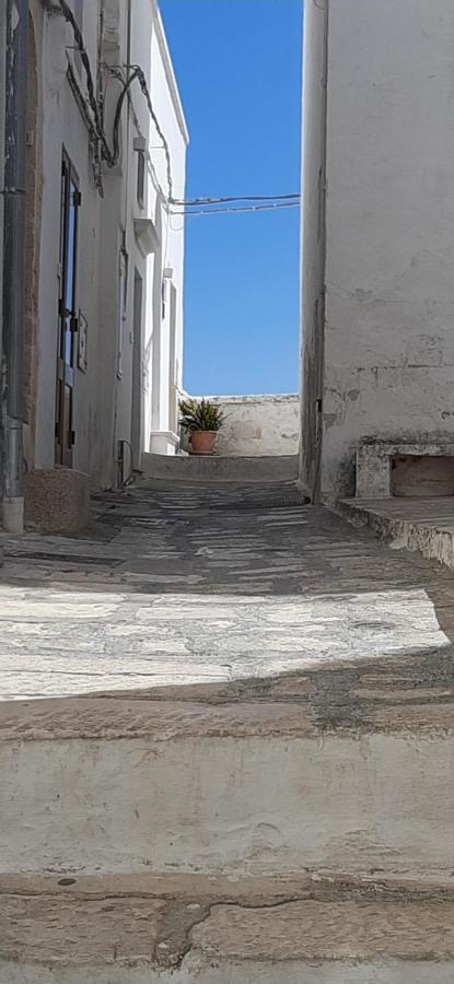 Che Vista!! Ostuni ,Sulle Bianche Mura Con Vista Mozzafiato Екстер'єр фото