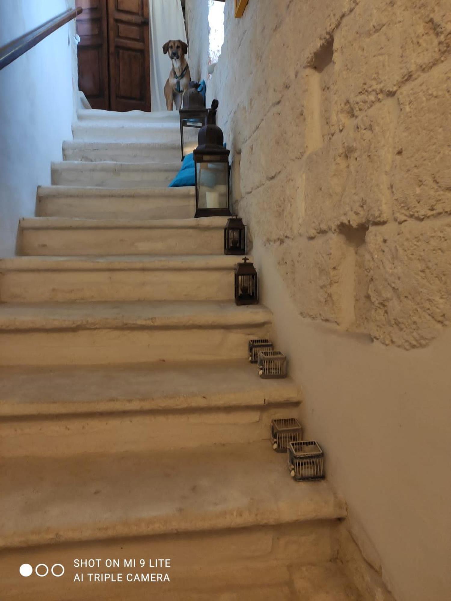 Che Vista!! Ostuni ,Sulle Bianche Mura Con Vista Mozzafiato Екстер'єр фото
