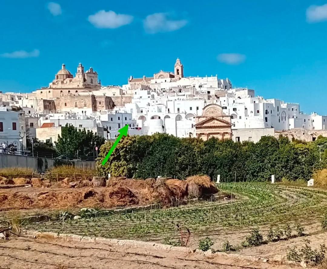 Che Vista!! Ostuni ,Sulle Bianche Mura Con Vista Mozzafiato Екстер'єр фото